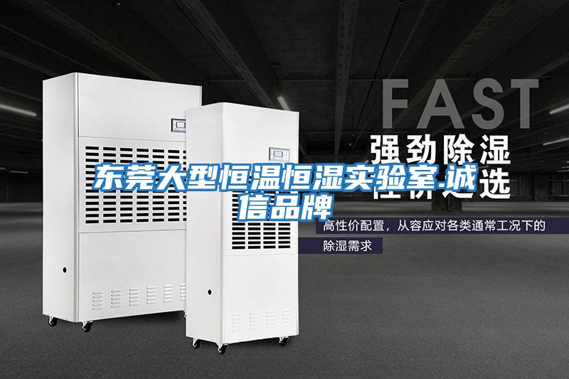 東莞大型恒溫恒濕實(shí)驗室.誠信品牌