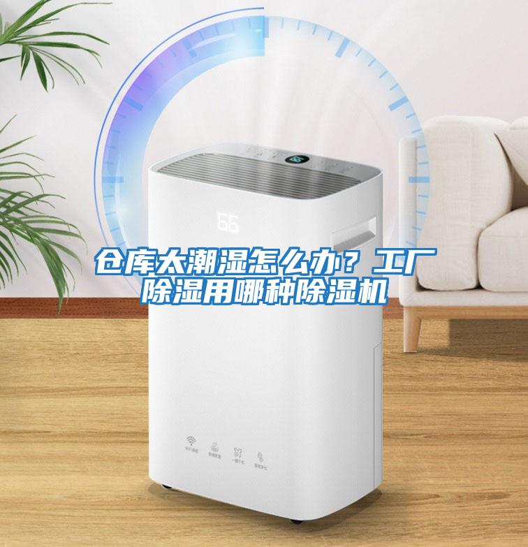 倉庫太潮濕怎么辦？工廠(chǎng)除濕用哪種除濕機