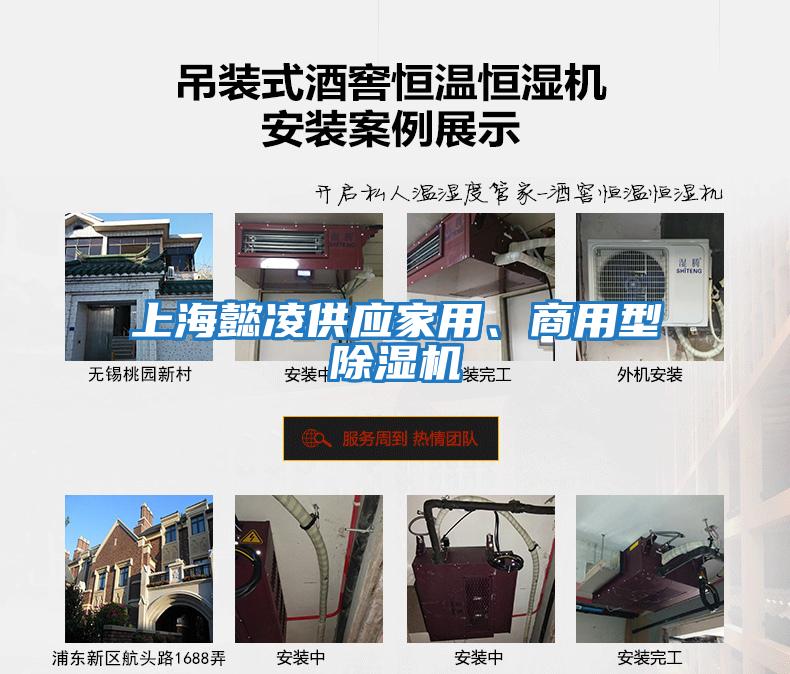 上海懿凌供應家用、商用型除濕機