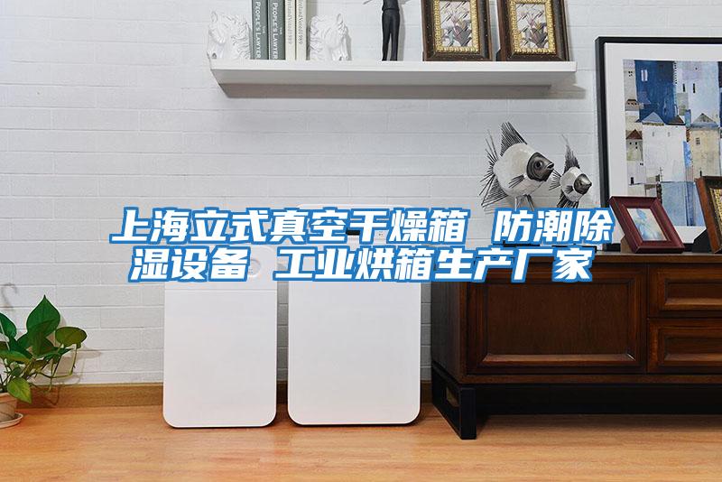 上海立式真空干燥箱 防潮除濕設備 工業(yè)烘箱生產(chǎn)廠(chǎng)家