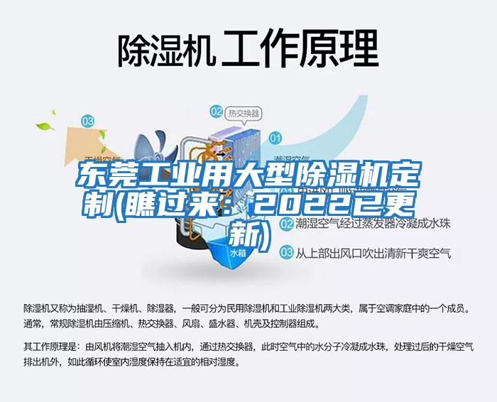東莞工業(yè)用大型除濕機定制(瞧過(guò)來(lái)：2022已更新)