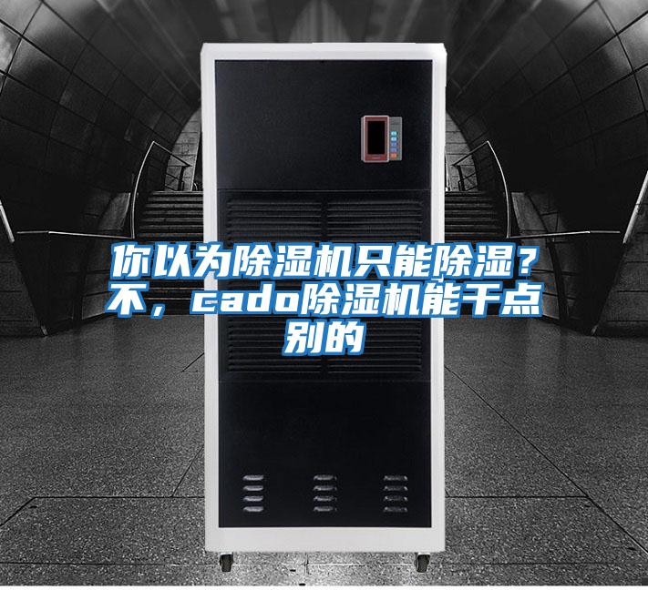你以為除濕機只能除濕？不，cado除濕機能干點(diǎn)別的