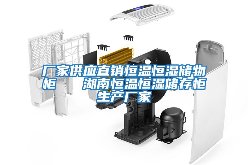 廠(chǎng)家供應直銷(xiāo)恒溫恒濕儲物柜   湖南恒溫恒濕儲存柜生產(chǎn)廠(chǎng)家