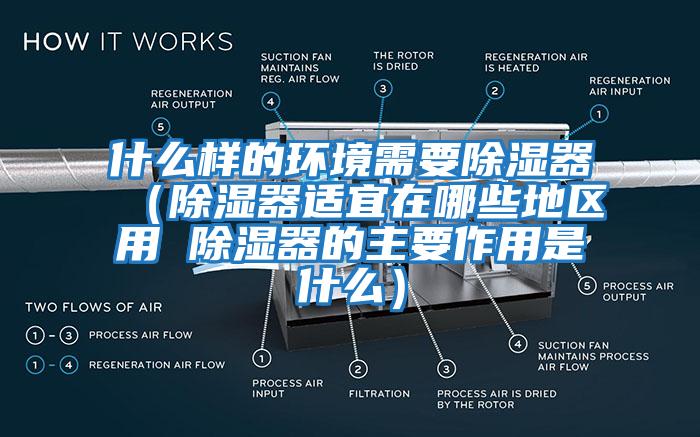 什么樣的環(huán)境需要除濕器(除濕器適宜在哪些地區用 除濕器的主要作用是什么)