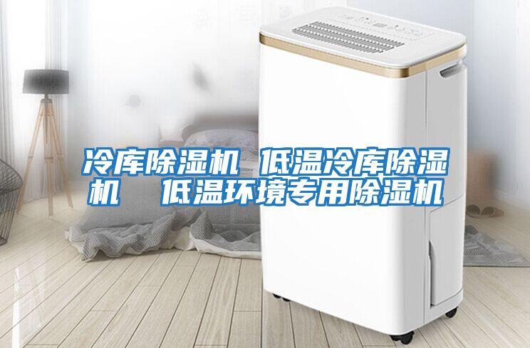 冷庫除濕機 低溫冷庫除濕機  低溫環(huán)境專(zhuān)用除濕機