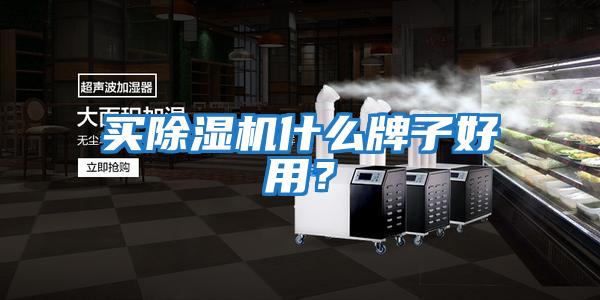買(mǎi)除濕機什么牌子好用？