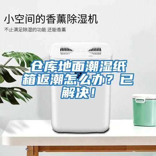 倉庫地面潮濕紙箱返潮怎么辦？已解決！