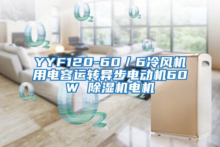 YYF120-60/6冷風(fēng)機用電容運轉異步電動(dòng)機60W 除濕機電機