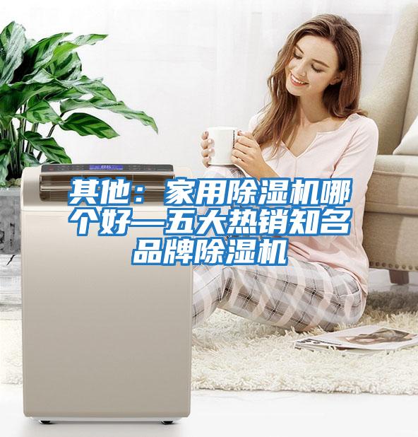其他：家用除濕機哪個(gè)好—五大熱銷(xiāo)知名品牌除濕機