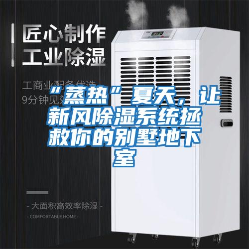 “蒸熱”夏天，讓新風(fēng)除濕系統拯救你的別墅地下室