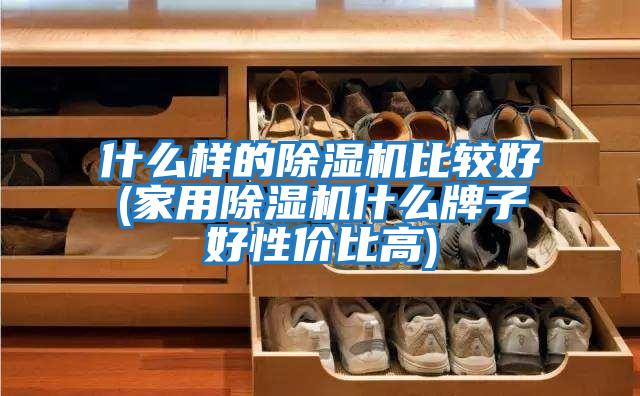 什么樣的除濕機比較好(家用除濕機什么牌子好性?xún)r(jià)比高)