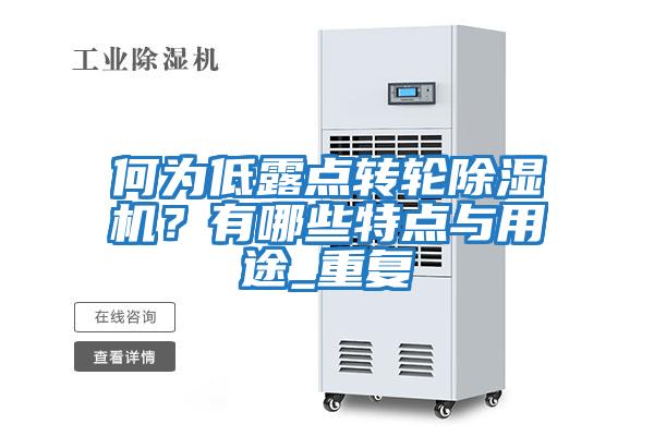 何為低露點(diǎn)轉輪除濕機？有哪些特點(diǎn)與用途_重復