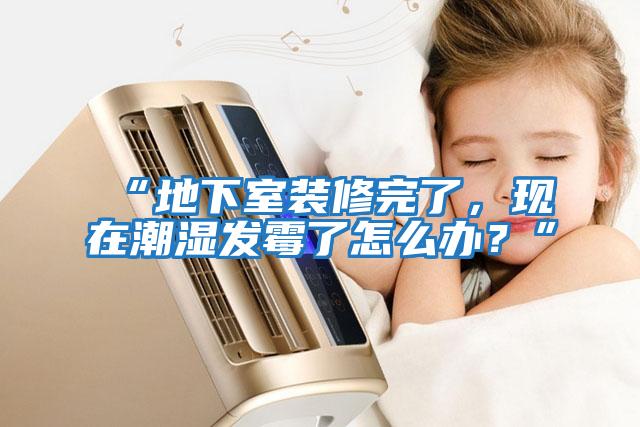 “地下室裝修完了，現在潮濕發(fā)霉了怎么辦？”