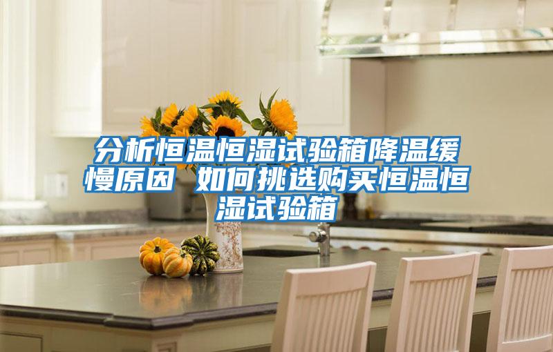 分析恒溫恒濕試驗箱降溫緩慢原因 如何挑選購買(mǎi)恒溫恒濕試驗箱