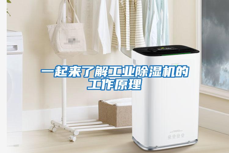 一起來(lái)了解工業(yè)除濕機的工作原理