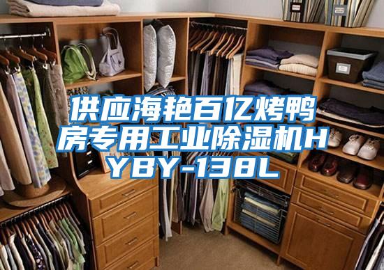 供應海艷百億烤鴨房專(zhuān)用工業(yè)除濕機HYBY-138L