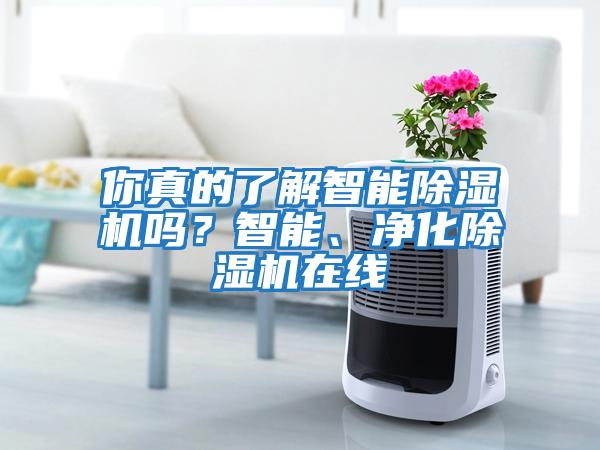 你真的了解智能除濕機嗎？智能、凈化除濕機在線(xiàn)