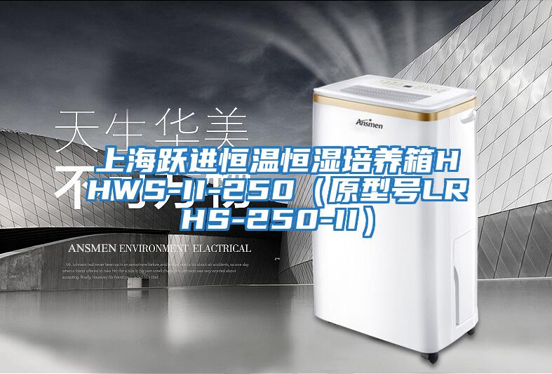 上海躍進(jìn)恒溫恒濕培養箱HHWS-II-250（原型號LRHS-250-II）