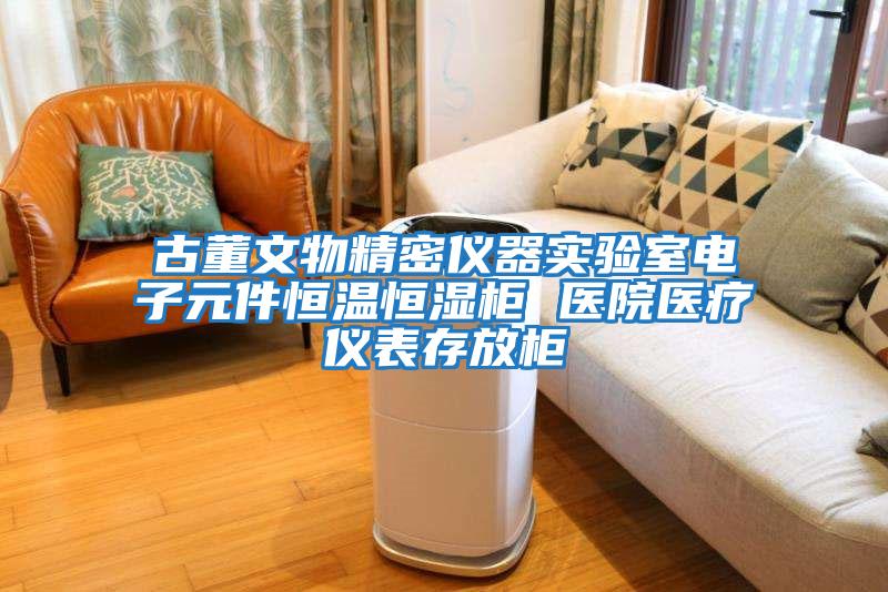 古董文物精密儀器實(shí)驗室電子元件恒溫恒濕柜 醫院醫療儀表存放柜