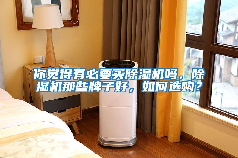 你覺(jué)得有必要買(mǎi)除濕機嗎，除濕機那些牌子好，如何選購？