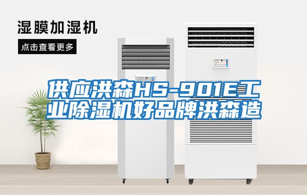 供應洪森HS-901E工業(yè)除濕機好品牌洪森造