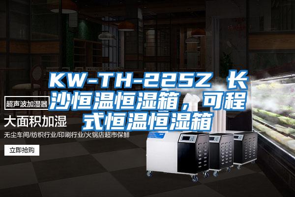 KW-TH-225Z 長(cháng)沙恒溫恒濕箱，可程式恒溫恒濕箱