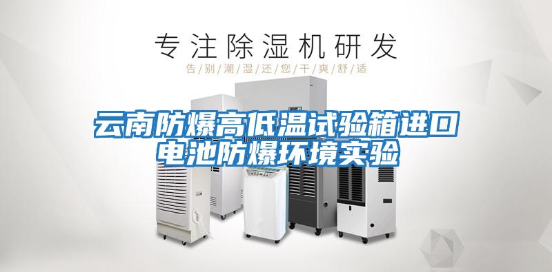 云南防爆高低溫試驗箱進(jìn)口電池防爆環(huán)境實(shí)驗