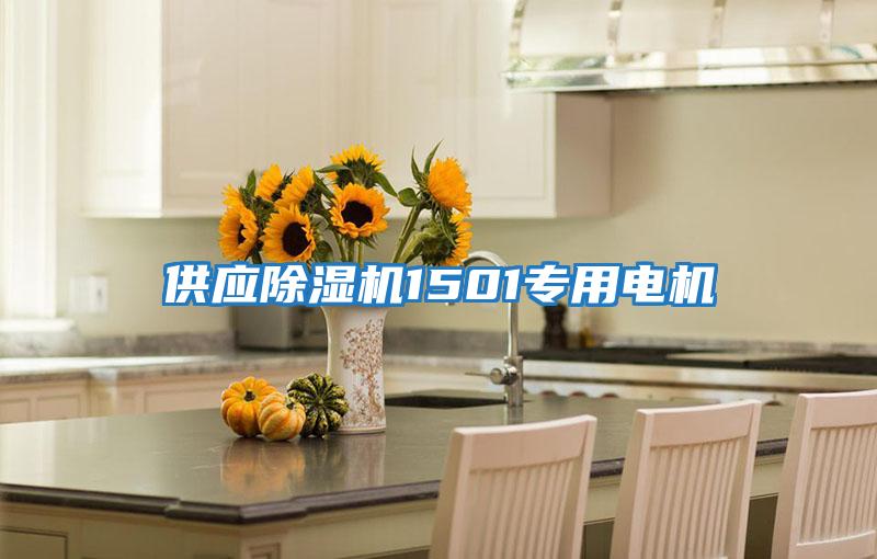 供應除濕機1501專(zhuān)用電機