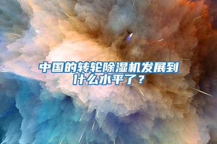 中國的轉輪除濕機發(fā)展到什么水平了？