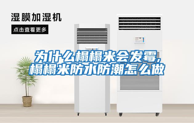 為什么榻榻米會(huì )發(fā)霉,榻榻米防水防潮怎么做