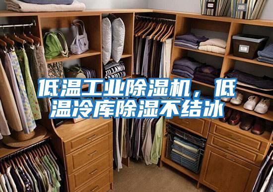 低溫工業(yè)除濕機，低溫冷庫除濕不結冰