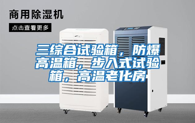 三綜合試驗箱，防爆高溫箱，步入式試驗箱，高溫老化房