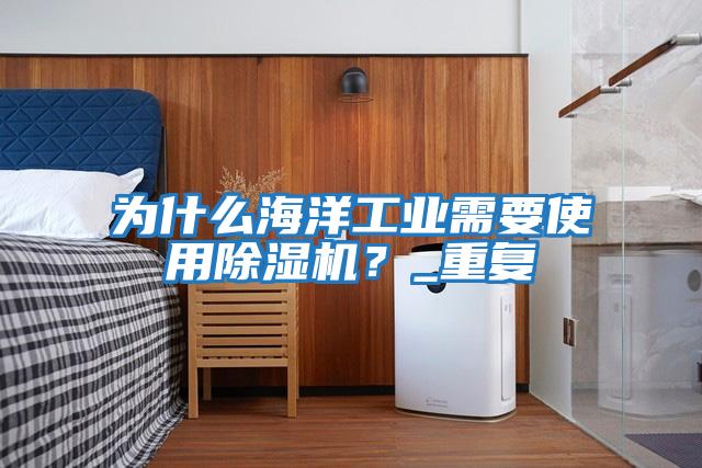 為什么海洋工業(yè)需要使用除濕機？_重復