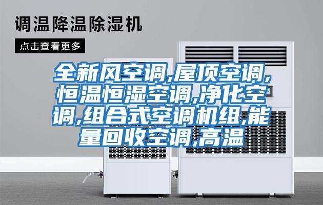 全新風(fēng)空調,屋頂空調,恒溫恒濕空調,凈化空調,組合式空調機組,能量回收空調,高溫