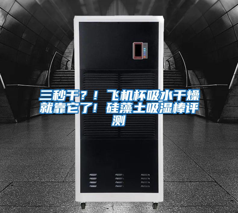 三秒干？! 飛機杯吸水干燥就靠它了! 硅藻土吸濕棒評測