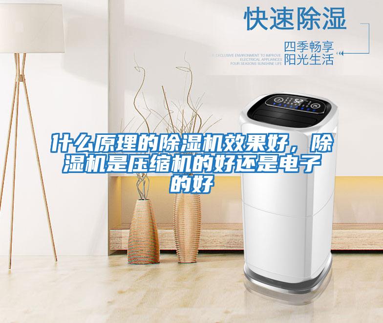 什么原理的除濕機效果好，除濕機是壓縮機的好還是電子的好