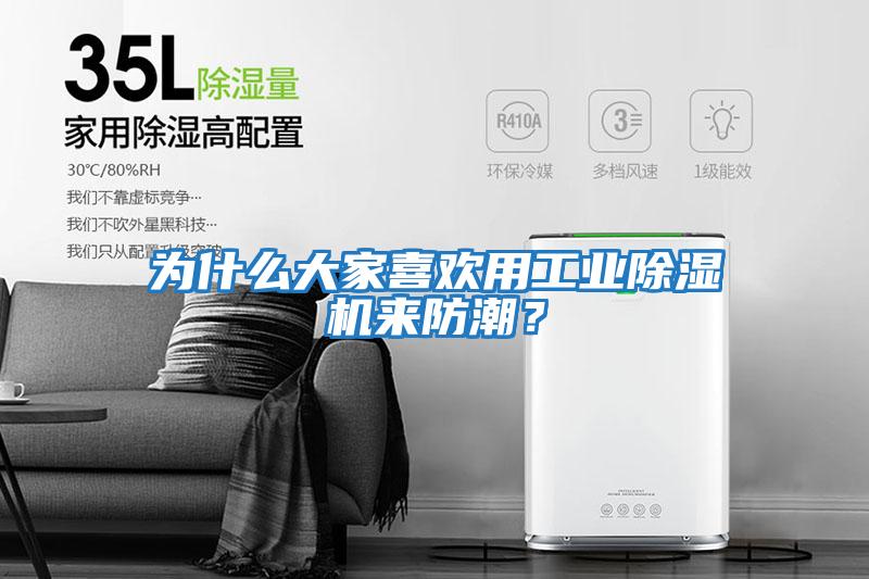 為什么大家喜歡用工業(yè)除濕機來(lái)防潮？