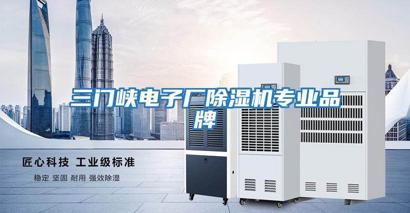 三門(mén)峽電子廠(chǎng)除濕機專(zhuān)業(yè)品牌