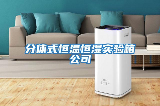 分體式恒溫恒濕實(shí)驗箱公司