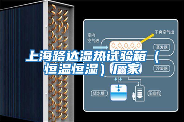 上海路達濕熱試驗箱（恒溫恒濕）廠(chǎng)家