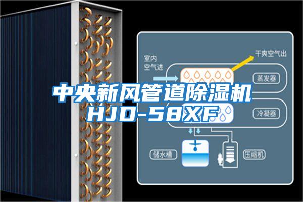 中央新風(fēng)管道除濕機HJD-58XF