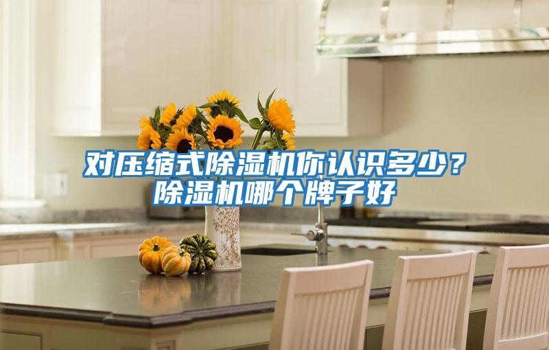 對壓縮式除濕機你認識多少？除濕機哪個(gè)牌子好