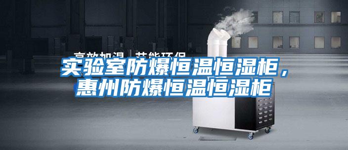 實(shí)驗室防爆恒溫恒濕柜，惠州防爆恒溫恒濕柜