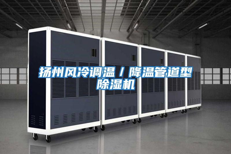 揚州風(fēng)冷調溫／降溫管道型除濕機