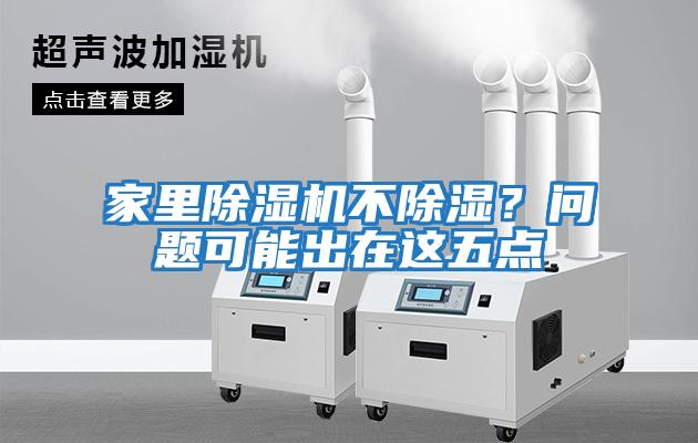 家里除濕機不除濕？問(wèn)題可能出在這五點(diǎn)