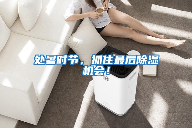 處暑時(shí)節，抓住最后除濕機會(huì )！