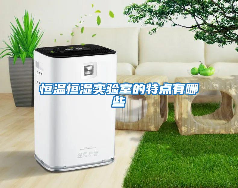 恒溫恒濕實(shí)驗室的特點(diǎn)有哪些