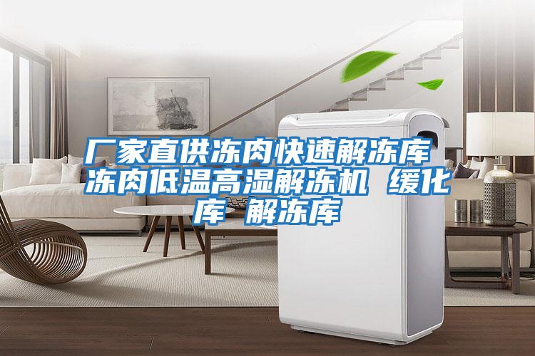 廠(chǎng)家直供凍肉快速解凍庫 凍肉低溫高濕解凍機 緩化庫 解凍庫