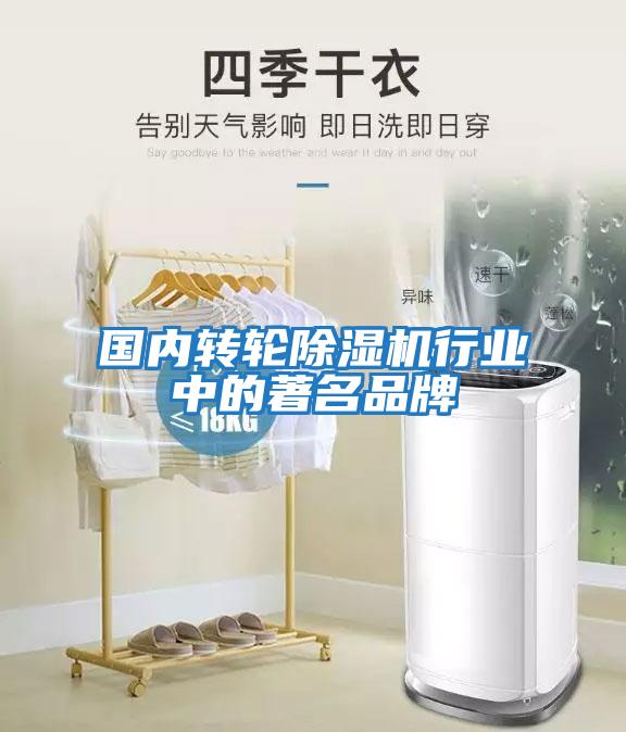 國內轉輪除濕機行業(yè)中的著(zhù)名品牌