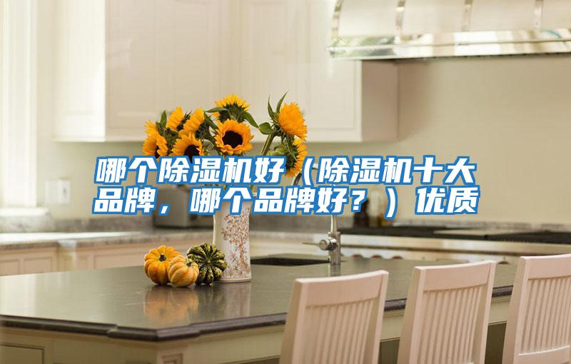 哪個(gè)除濕機好（除濕機十大品牌，哪個(gè)品牌好？）優(yōu)質(zhì)